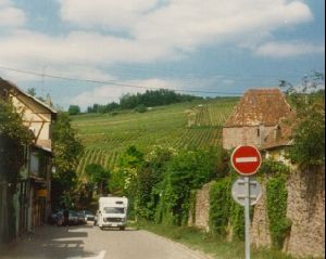 Cities Europe France : Alsace is well known for its wine. Here are some vineyards.