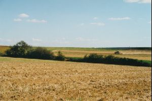 Cities Europe Germany : A tractor in a farmer s field by Versbach