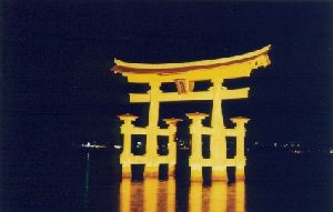 Cities Asia Japan : The torii gate at night