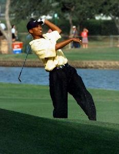 Tiger Woods : tw13