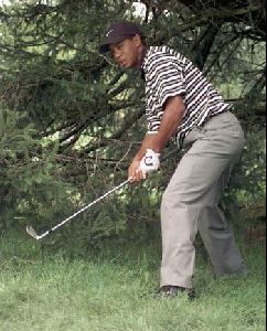 Tiger Woods : tw21