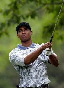 Tiger Woods : tw31