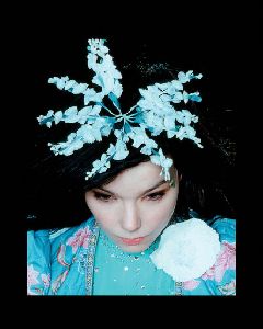 Bjork : Bjork-elr02