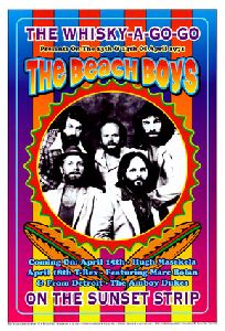 BEACH BOYS : 862562