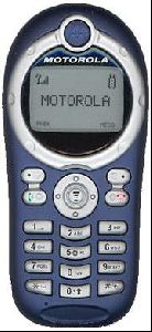 Motorola phones : Motorola C116