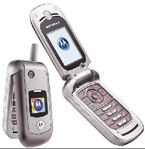 Motorola phones : Motorola V975