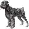 PHPBB dogs avatars 1-2005.01.03 : Black Russian Terrier