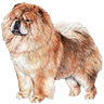 PHPBB dogs avatars 2-2005.01.03 : Chow Chow