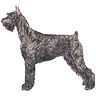 PHPBB dogs avatars 2-2005.01.03 : Giant Schnauzer