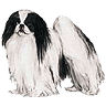 PHPBB dogs avatars 3-2005.01.03 : Japanese Chin