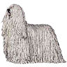 PHPBB dogs avatars 3-2005.01.03 : Komondor