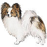 PHPBB dogs avatars 3-2005.01.03 : Papillon