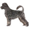 PHPBB dogs1 : Portuguese Water Dog