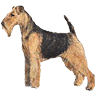 PHPBB dogs1 : Welsh Terrier