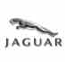 Logo Lm jaguar