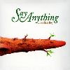 Say Anything is a real boy album cover