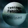 Teenage Fanclub Thirteen album cover