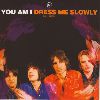 You Am I Dress me slowly album cover