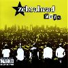 Zebrahead MFZB album cover