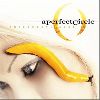 A Perfect Circle thirteenth step album cover