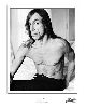 Iggy Pop : 176097