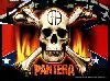 Pantera : 51294