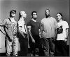 Rollins Band : p20538ys62i