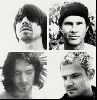 Red Hot Chili Peppers : p25792zhvt1