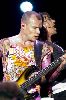 Red Hot Chili Peppers : Red Hot Chili Peppers-70