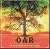 O.A.R-In Between Now and Then album cover