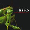 Shihad - love is the new hate album cover