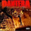 Pantera - The Great Southern Trendkill album cover