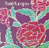 Todd Rundgren - Something anything album cover