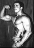 arnold schwarzenegger : 8