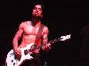 Dave Navarro : Dave Navarro-44