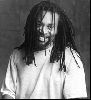 Bobby McFerrin : p25206axdrb