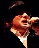 Van Morrison : Van Morrison-2