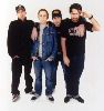 Millencolin : Millencolin-band-di01