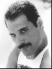 Freddie Mercury : p55532ltjus