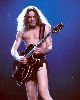 Ted Nugent : Ted Nugent-8