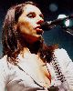 PJ Harvey : C56455