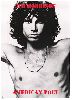 Jim Morrison : 013 MR716