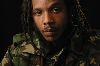 Stephen Marley : Stephen-Marley-u09