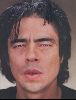 benicio del toro : 12