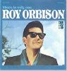 Roy Orbison - There is only one Roy Orbison album cover