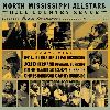 North Mississippi Allstars - Hill Country Revue Live at Bonnaroo album cover