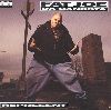 Fat Joe - Represent album cover