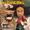 Ludacris - Word Of Mouf album cover