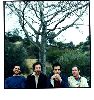 Guster : Guster-band-rp03