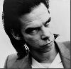 Nick Cave : p22006nb213